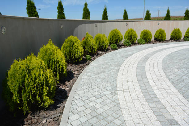 Best Affordable Driveway Paving  in Barstow, CA